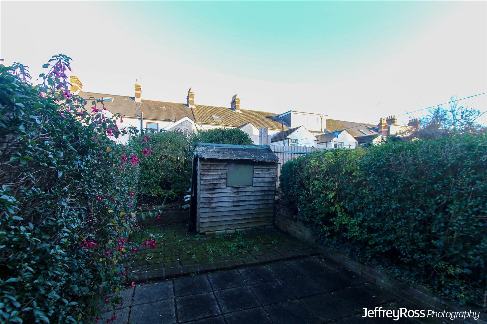 Thesiger Street, Cathays — photograph 9